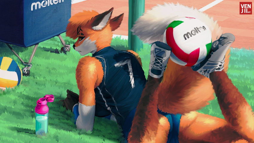 anthro ball balls bottomwear breasts butt canid canine clothed clothing detailed_background digital_media_(artwork) elbow_brace female fingers footwear fox frown fur genitals grass gym_bottomwear gym_clothing gym_shorts hair hi_res legs_up looking_at_viewer looking_back lying mammal on_front on_grass on_ground orange_body orange_fur outside plant rear_view red_fox shirt shoes shorts solo sport sports_jersey spread_legs spreading text text_on_clothing text_on_shirt text_on_topwear topwear venjiiart volleyball volleyball_(ball) water water_bottle white_body white_fur