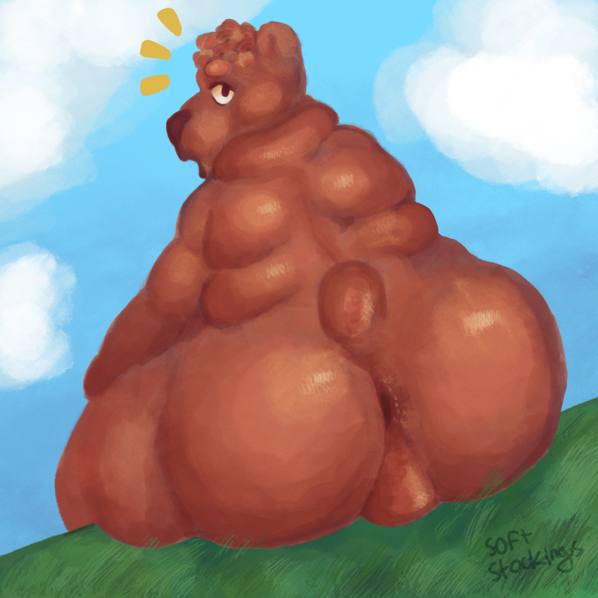 1:1 anthro anus brown_bear brown_body brown_fur brown_hair brown_lips butt butt_focus cloud fur grass hair hi_res lips looking_at_viewer looking_back male mammal overweight overweight_anthro overweight_male perineum plant shocked short_tail sitting sky softstockings solo solo_focus ursid ursine