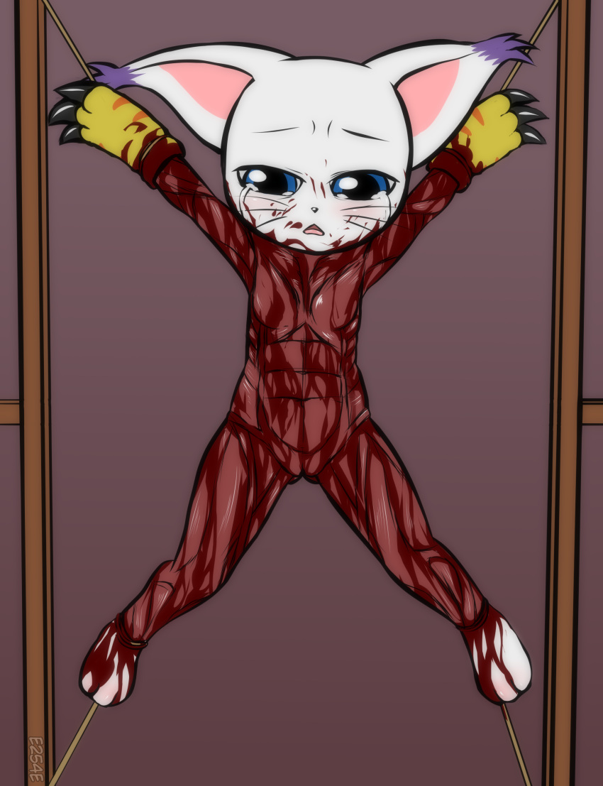 absurd_res anthro arms_tied blood blue_eyes bodily_fluids bound butt_from_the_front clothing crying cute_eyes digimon digimon_(species) domestic_cat e254e felid feline felis female fur gatomon genitals gloves gore handwear hi_res legs_tied mammal muscular muscular_anthro muscular_female nude pussy red_body rope skinned snuff solo tailless tears torture white_body white_fur