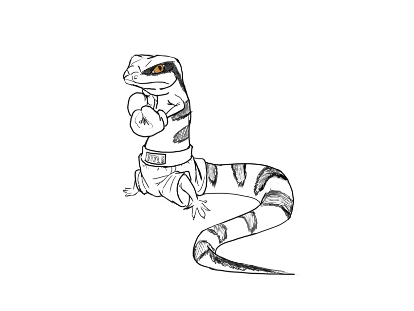 4:3 anthro blue_tounged_skink boxer_(disambiguation) boxing_gloves clothing dahbastard digital_drawing_(artwork) digital_media_(artwork) eukayoticprokaryote handwear hi_res line_art lizard reptile scalie skink