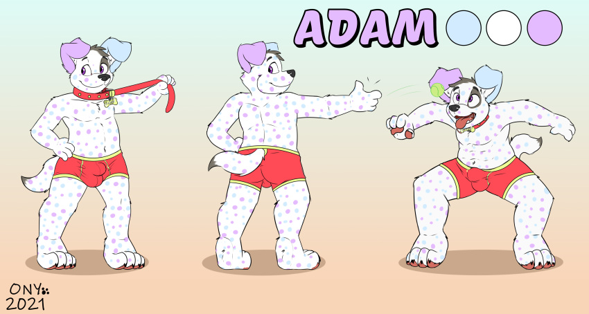 absurd_res adam anthro ball canid canine canis clothing collar dalmatian domestic_dog hi_res male mammal onykr paws solo spots underwear undies_bulge young