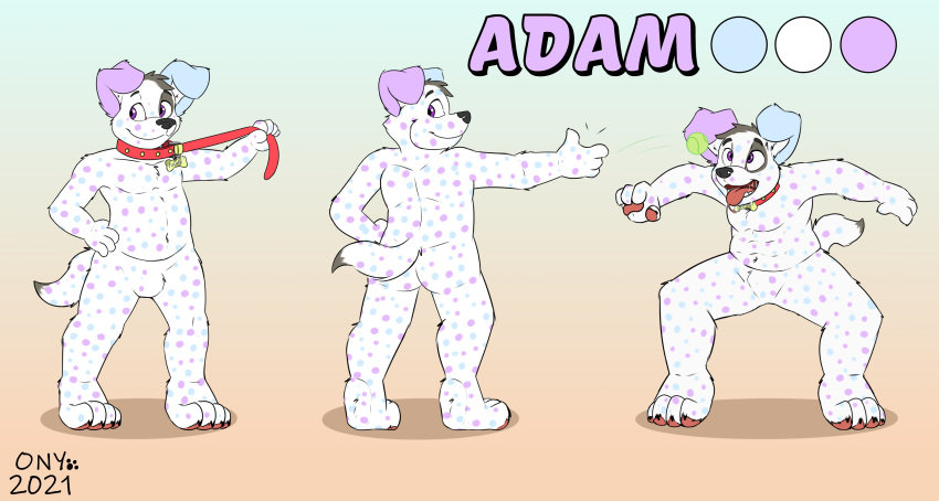 absurd_res adam ball canid canine canis collar dalmatian domestic_dog hi_res male mammal model_sheet onykr paws solo spots young