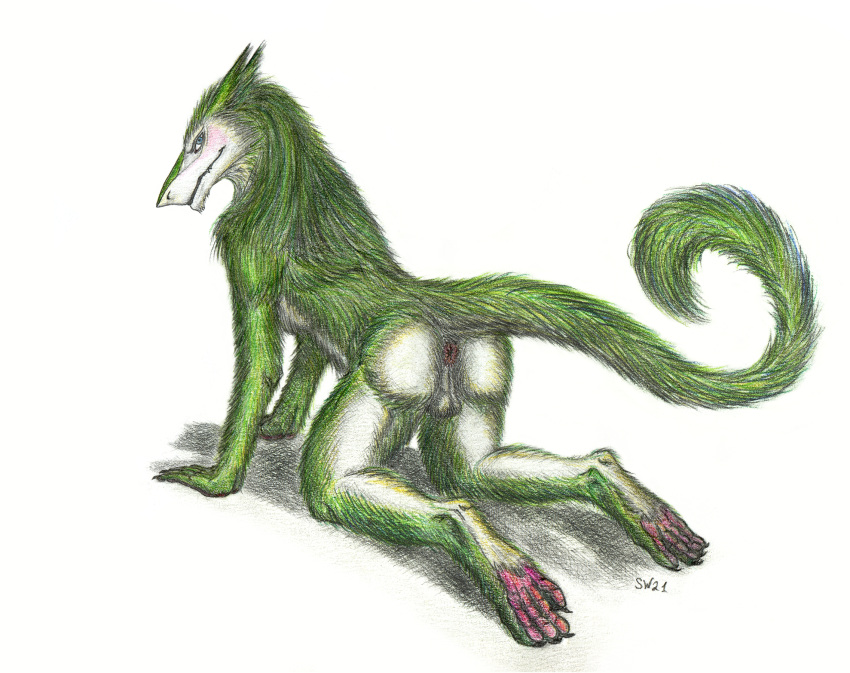 2021 4_toes 5_fingers all_fours anthro anus backsack balls blue_eyes blush butt claws colored_pencil_(artwork) feet fingers fluffy fur genitals green_body green_fur hi_res kneeling looking_at_viewer male mane nude perineum presenting presenting_anus presenting_hindquarters scalywanderer seductive sergal signature simple_background smile solo tail_tuft toe_claws toe_pads toes traditional_media_(artwork) tuft white_background white_body white_fur