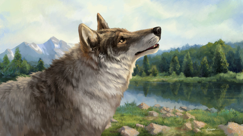 16:9 2021 amazing_background ambiguous_gender black_nose canid canine canis cloud day detailed_background english_text feral fur grass grey_body grey_fur hi_res mammal mountain outside plant river rock signature sky snowfoxatheart solo text water whiskers white_body white_fur widescreen wolf