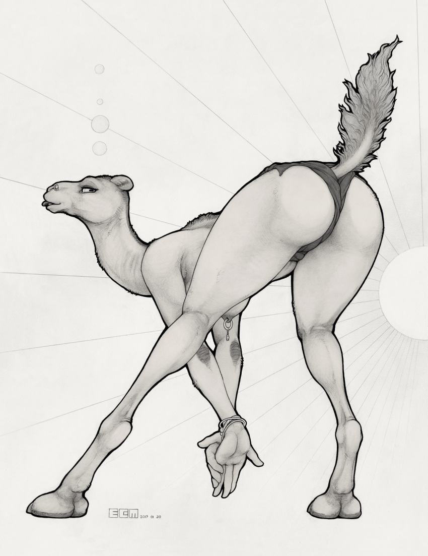 2017 anthro ass_up bracelet breasts butt camel camelid clothed clothing ecmajor facial_piercing female greyscale half-closed_eyes hi_res hooves jewelry leaning leaning_forward long_neck looking_back mammal monochrome mostly_nude narrowed_eyes nipple_piercing nipples nose_piercing nose_ring panties piercing presenting presenting_hindquarters raised_tail simple_background solo tongue tongue_out topless underwear