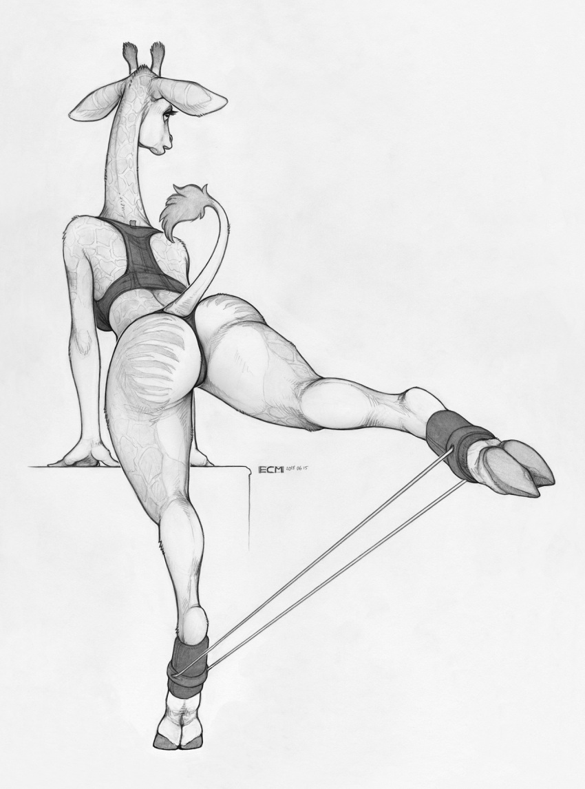 2018 anthro big__butt big_ears bra breasts clothing cloven_hooves ecmajor exercise eyelashes female giraffe giraffid greyscale hi_res hooves horn long_neck mammal monochrome ossicone panties solo sports_bra stretches tail_tuft tuft underwear workout
