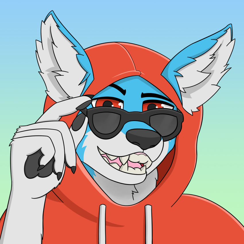 1:1 2018 ambiguous_gender anthro black_nose black_pawpads black_pupils blue_body blue_fur bust_portrait canid canine canis clothing digital_media_(artwork) eyewear fluffybuck fur glasses hi_res hoodie looking_at_viewer mammal open_mouth pawpads pink_tongue portrait pupils red_clothing red_eyes red_shirt red_topwear shirt simple_background smile solo sunglasses teeth tongue topwear white_body white_fur wolf