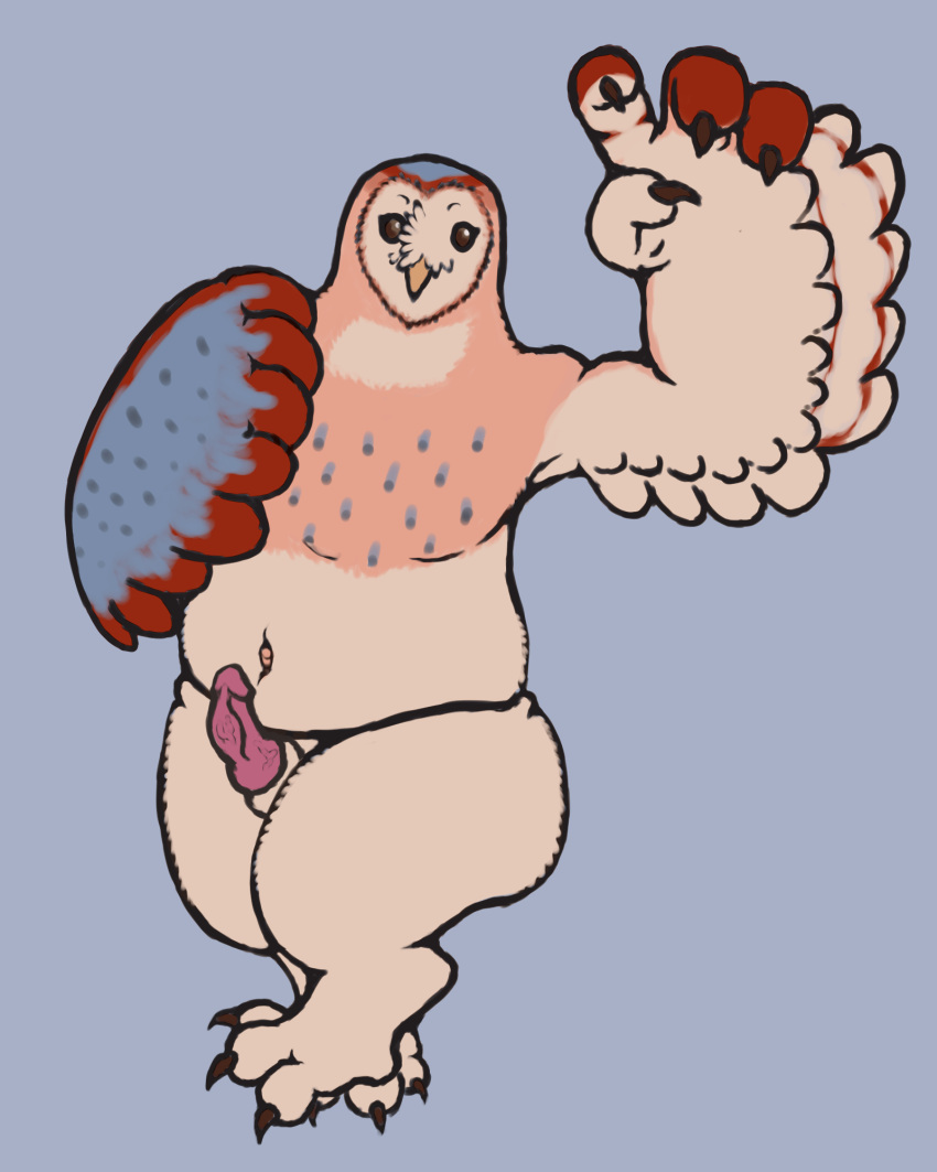 4:5 anthro avian barn_owl beak bird chubby_male claws digitigrade dungeons_and_dragons feathered_wings feathers genitals hasbro hi_res male masked_owl obscenecanary owl owlbear paws penis simple_background solo talons tytonid wings wizards_of_the_coast