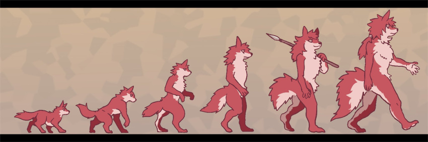 2021 ambiguous_gender anthro canid countershading feral feral_to_anthro fur hair hi_res holding_object holding_spear holding_weapon kemono mammal melee_weapon naturally_censored nude polearm red_body red_fur red_hair sequence simple_background smile spear syo_you9 transformation walking weapon