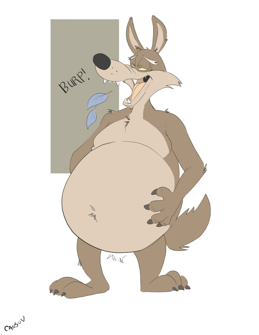 2021 absurd_res anthro belly big_belly brown_body brown_fur burping canid canine canis canson claws coyote fangs feathers fur hand_on_stomach hi_res looney_tunes male mammal navel overweight paws plantigrade post-vore simple_background solo teeth vore warner_brothers wile_e._coyote yellow_eyes