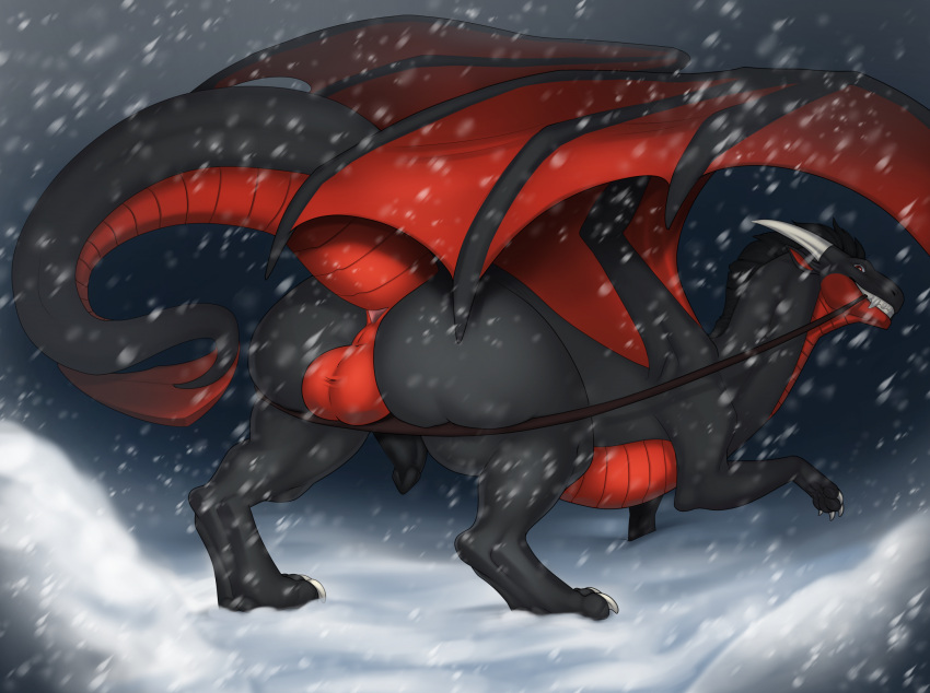 anus balls belly belly_scales black_body black_mane black_penis black_scales dragon feral genitals hi_res horn male mane membrane_(anatomy) membranous_wings penis perineum red_balls red_belly red_body red_scales scales scalie scaly_tail snow solo staffkira2891 tail white_horn wings