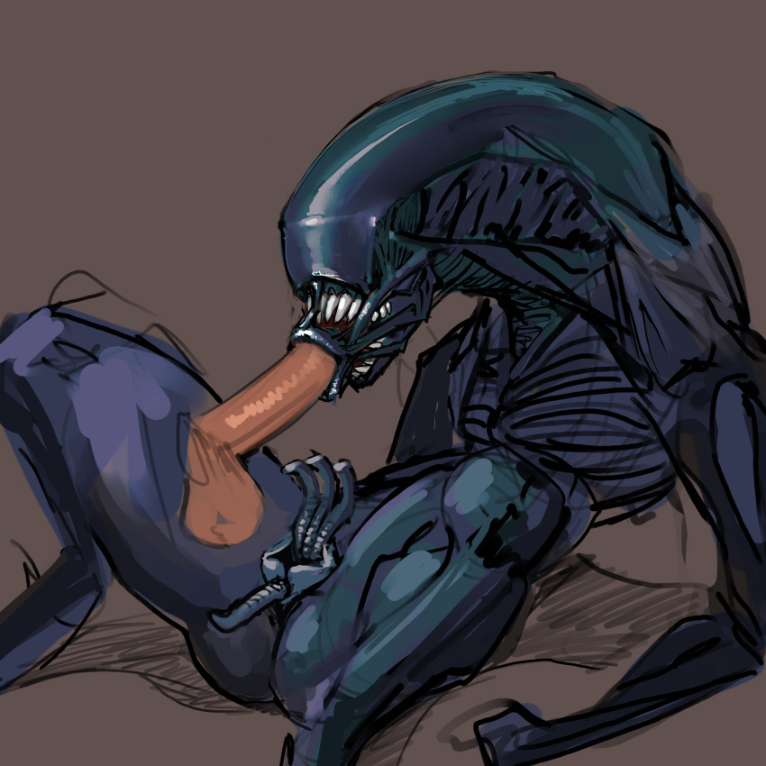 1:1 alien alien_(franchise) balls duo eyeless fellatio female genitals hi_res human interspecies male male/female male_penetrating mammal meandraco monster oral oral_penetration penetration penile penis pussy sex simple_background teeth xenomorph