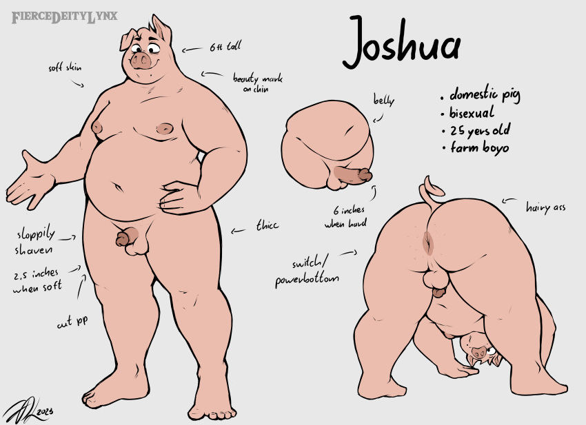 2023 absurd_res anthro anus balls belly butt circumcised domestic_pig english_text erection fiercedeitylynx flaccid genitals hi_res humanoid_genitalia humanoid_penis joshua_(fiercedeitylynx) male mammal model_sheet moobs nipples nude overweight overweight_male penis pink_body pink_skin snout solo suid suina sus_(pig) text