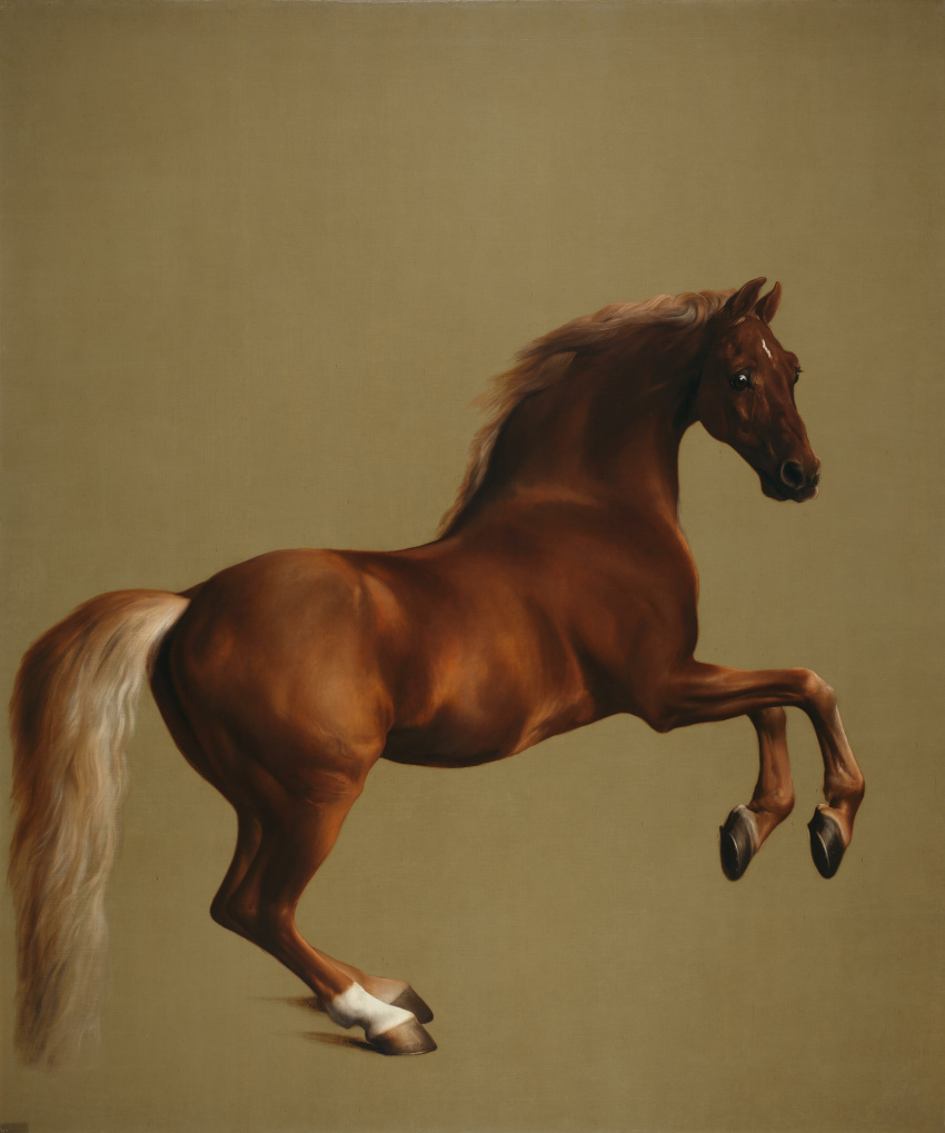 1762 17th_century absurd_res ambiguous_gender ancient_art brown_body brown_fur equid equine feral full-length_portrait fur george_stubbs hi_res hooves horse looking_at_viewer male_(lore) mammal mane painting_(artwork) portrait quadruped real_world simple_background solo tail tan_background tan_body tan_fur thoroughbred traditional_media_(artwork) whistlejacket