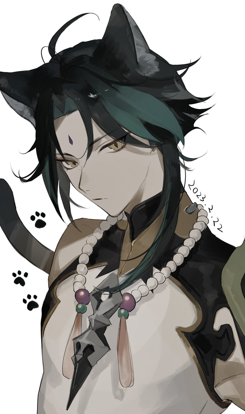 1boy absurdres ahoge animal_ears armor black_hair cat_boy cat_ears cat_tail closed_mouth dated facial_mark forehead_mark genshin_impact green_hair highres jewelry multicolored_hair necklace pauldrons paw_print pearl_necklace shirt short_hair shoulder_armor simple_background single_bare_shoulder single_pauldron sleeveless sleeveless_shirt tail upper_body white_background white_shirt xiao_(genshin_impact) yellow_eyes zuu_(kyuudo9)