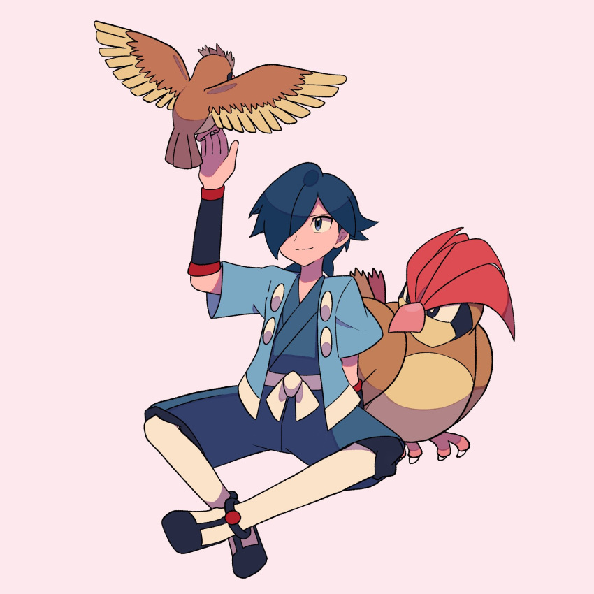 1boy arm_up bird black_footwear black_wristband closed_mouth commentary_request falkner_(pokemon) grey_background hair_over_one_eye haori highres jacket japanese_clothes kimono kneehighs male_focus open_clothes open_jacket pidgeotto pidgey pokemon pokemon_(creature) pokemon_hgss sash shoes short_sleeves sitting smile socks tyako_089 white_socks