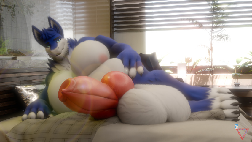 16:9 3d_(artwork) 4_fingers 4_toes 4k absurd_res animal_genitalia animal_penis anthro balls bed bedding bedroom bedroom_eyes belly big_balls big_knot big_muscles big_pecs big_penis blanket blender_(software) blinds blue_body blue_eyes blue_fur blue_hair canine_genitalia canine_penis claws claws_out detailed_background digital_media_(artwork) ears_up erection feet fingers fur furniture genitals hair hand_on_leg hand_on_thigh hi_res huge_balls huge_knot huge_muscles huge_pecs huge_penis hyper hyper_balls hyper_genitalia hyper_muscles hyper_pecs hyper_penis inside knot latiospegasus lens_flare light looking_at_viewer lying male mattress muscular muscular_anthro muscular_male narrowed_eyes nipples nude on_bed papagen pecs penis pillow plant seductive solo sunlight toes tuft watermark white_balls white_body white_fingers white_fur white_paws widescreen window