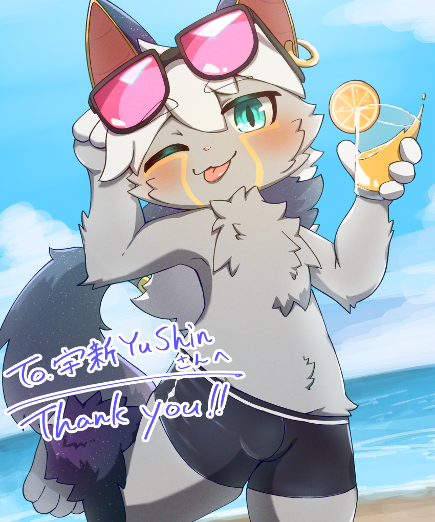 absurd_res anthro beach beverage clothing dok2_mo domestic_cat eyewear felid feline felis glasses grey_hair hair hi_res juice_(beverage) long_hair male mammal solo sunglasses swimming_trunks swimwear yushin_(character)