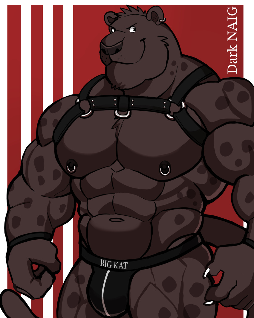 absurd_res anthro biped bulge claws clothing darknaigart felid fingers harness hi_res jockstrap male mammal muscular muscular_anthro muscular_male nipple_piercing nipples pantherine pecs piercing smile solo tail underwear
