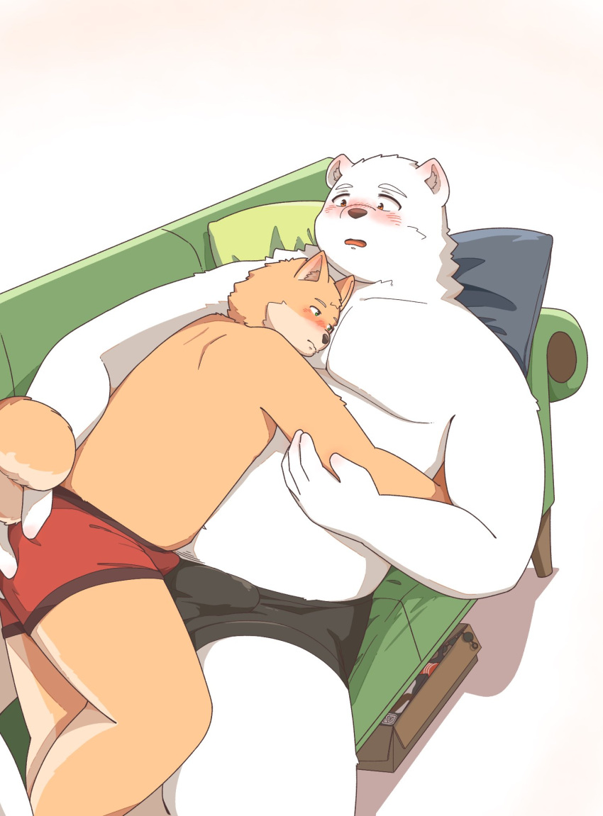 2024 anthro bear belly blush brown_body bulge butt butt_grab canid canine canis clothing detailed_bulge domestic_dog duo erection erection_under_clothing furniture genital_outline hand_on_butt hi_res hug humanoid_hands kemono lying male male/male mammal overweight overweight_male penis_outline pillow sofa underwear utu_kuma257 white_body