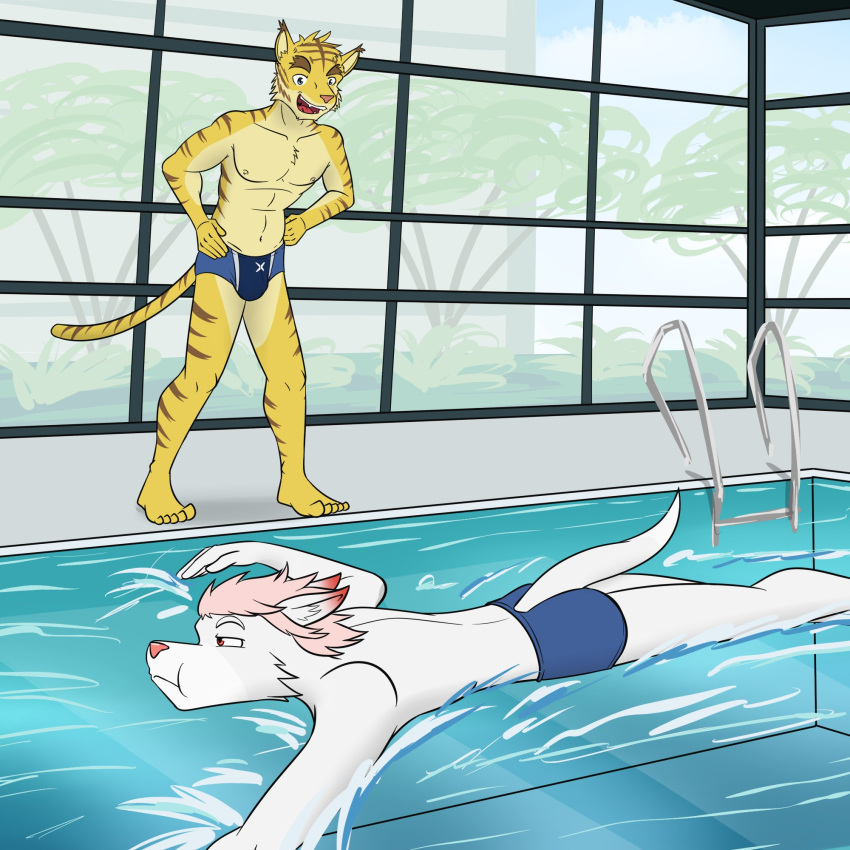 alternate_species anthro arctic_fox bulge canid canine clothed clothing duo felid fox furrification fuze hi_res hiroyuki_(morenatsu) male mammal morenatsu morenatsu_homecoming navel nipples pantherine poolside speedo speedo_only swimming swimming_pool swimwear tiger topless torahiko_(morenatsu) true_fox