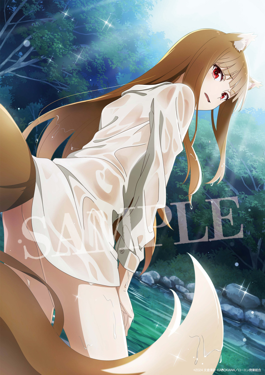 1girl animal_ear_fluff animal_ears artist_request bathing bottomless brown_hair collared_shirt copyright_notice cowboy_shot dated dutch_angle eyelashes from_behind highres holo leaning_forward long_hair long_sleeves looking_back official_art open_mouth outdoors red_eyes sample_watermark second-party_source shadow shirt solo sparkle spice_and_wolf very_long_hair watermark wet wet_clothes wet_shirt white_shirt wolf_ears wolf_girl
