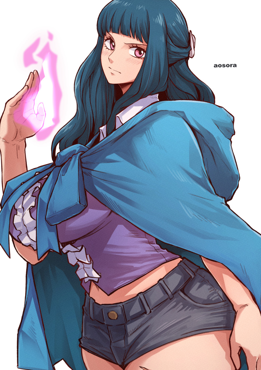 1girl aosora2823 artist_name black_shorts blue_hair blue_jacket blush breasts closed_mouth commentary ein_(one_piece) frilled_shirt frills hand_up highres hood hooded_jacket jacket large_breasts long_hair looking_at_viewer midriff navel one_piece pink_eyes purple_shirt shirt short_shorts shorts simple_background solo thighs white_background