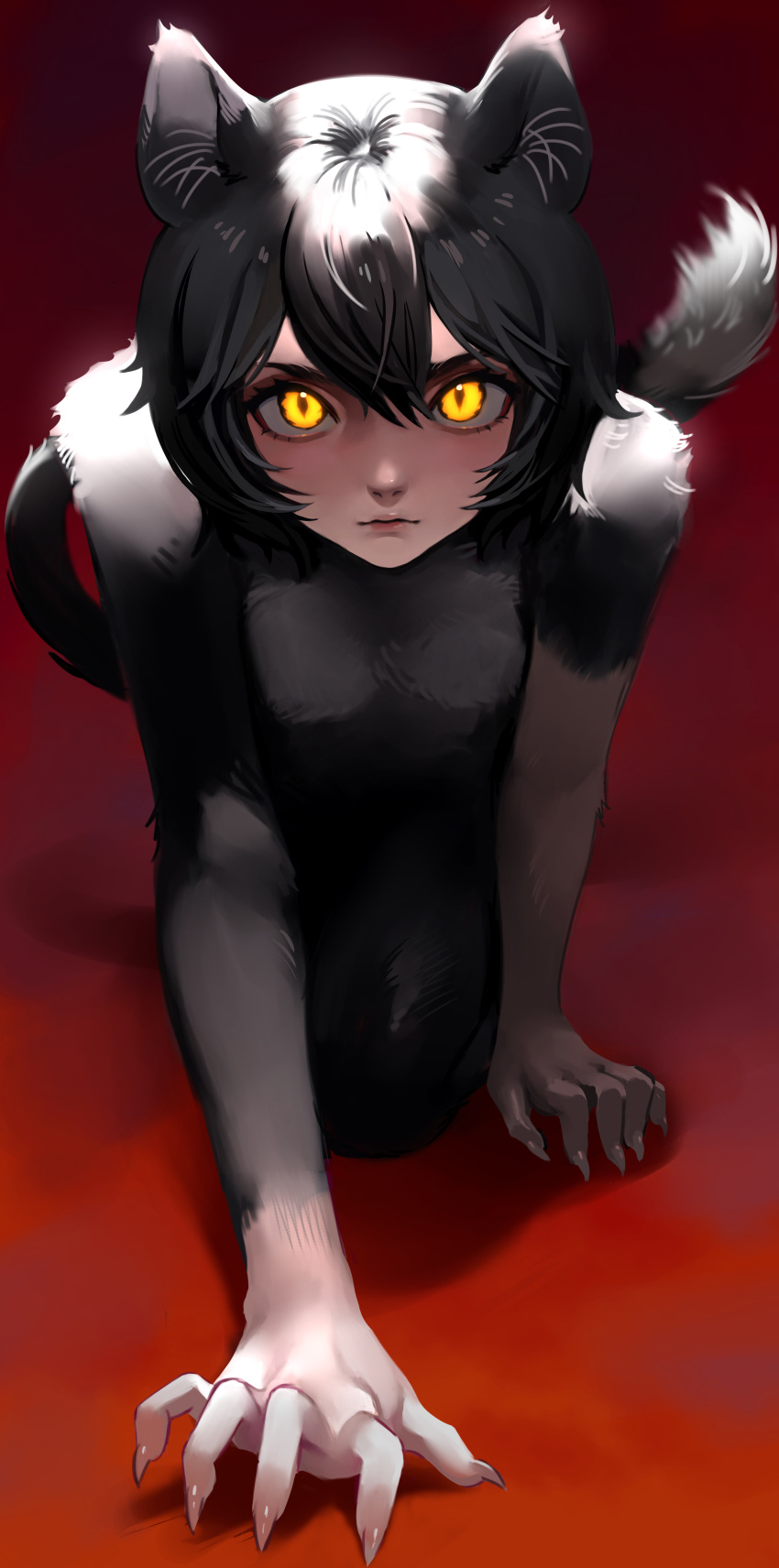 1girl absurdres all_fours animal_ears black_hair body_fur cat_ears cat_girl cat_tail closed_mouth dungeon_meshi fingernails highres izutsumi looking_at_viewer pawsup sharp_fingernails short_hair slit_pupils solo tail yellow_eyes