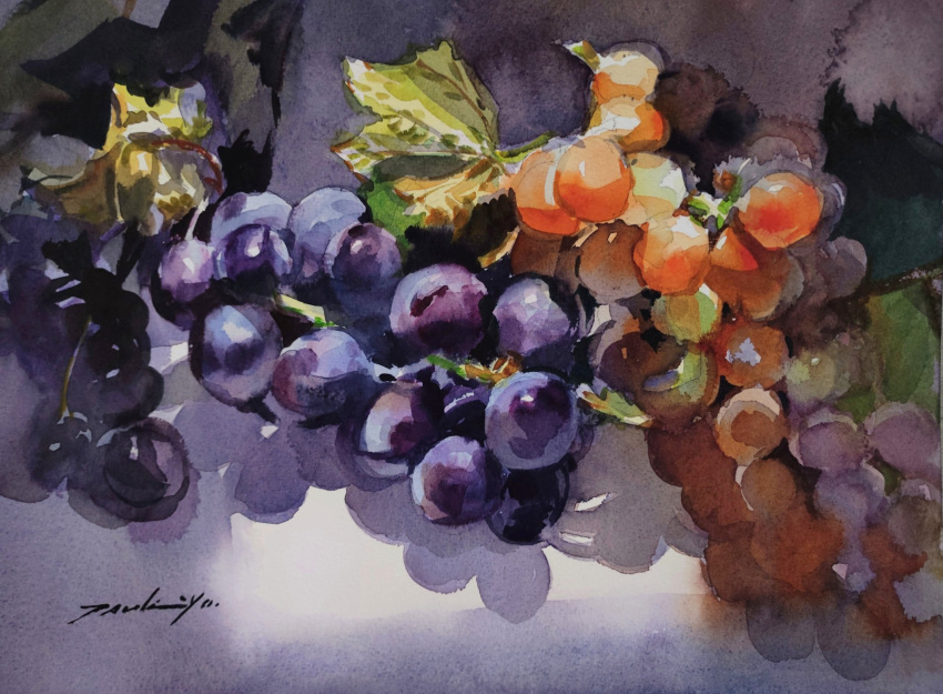 food food_focus fruit grapes highres leaf light no_humans original painting_(medium) plant realistic shadow still_life traditional_media tsukiyo_ono vines watercolor_(medium)