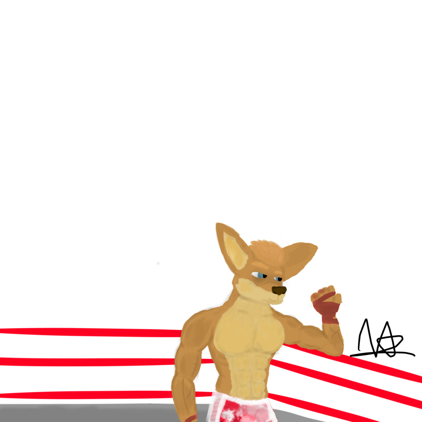 1:1 absurd_res anthro clothing fighting_ring handwear hi_res kangaroo macropod male mammal marsupial muscular simple_background solo stupidroo tailless veiny_muscles white_background