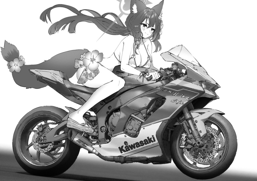 1girl animal_ear_fluff animal_ears bikini blue_archive bow breasts closed_mouth flower fox_ears fox_girl fox_tail full_body greyscale hair_between_eyes hair_bow halo highres jun_project kawasaki kawasaki_ninja_zx-10r large_breasts leaning leaning_forward long_hair looking_ahead monochrome motor_vehicle motorcycle official_alternate_costume product_placement sandals shoe_soles simple_background solo swimsuit tail wakamo_(blue_archive) wakamo_(swimsuit)_(blue_archive) white_background wind