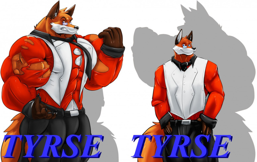 2015 5_fingers anthro badge belt big_muscles bottomwear canid canine clothing eyewear fierglief fingers fox glasses grin hand_on_hip huge_muscles hyper hyper_muscles looking_at_viewer male mammal muscular necktie pants simple_background smile solo suit text torn_clothing tyrse white_background