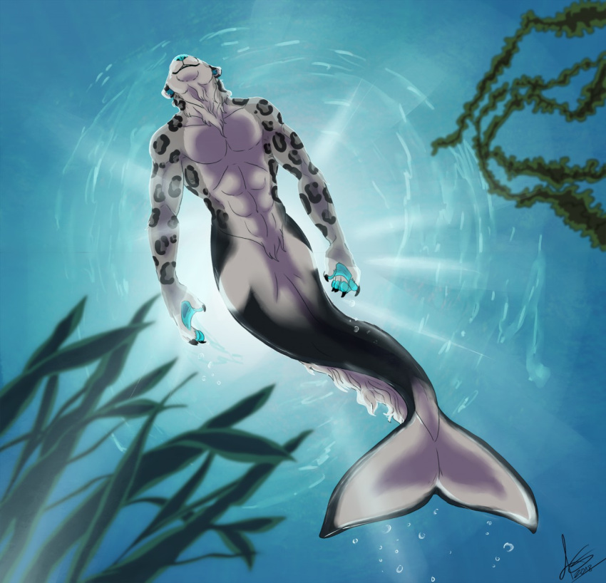 agropuer backlighting blue_nose blue_pawpads cetacean delphinoid felid hi_res kelp light lighting male mammal marine merfolk oceanic_dolphin orca pantherine pawpads snow_leopard solo swimming toothed_whale underwater water whitecentaur