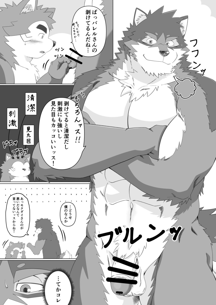 abs anthro barrel_(live-a-hero) blush canid canine canis censored comic domestic_dog duo flaccid genitals hi_res homohomofever humanoid_genitalia humanoid_penis japanese_text live-a-hero male male/male mammal mokdai monochrome muscular muscular_anthro muscular_male nude pecs penis slightly_chubby text touching_penis translation_request wolf