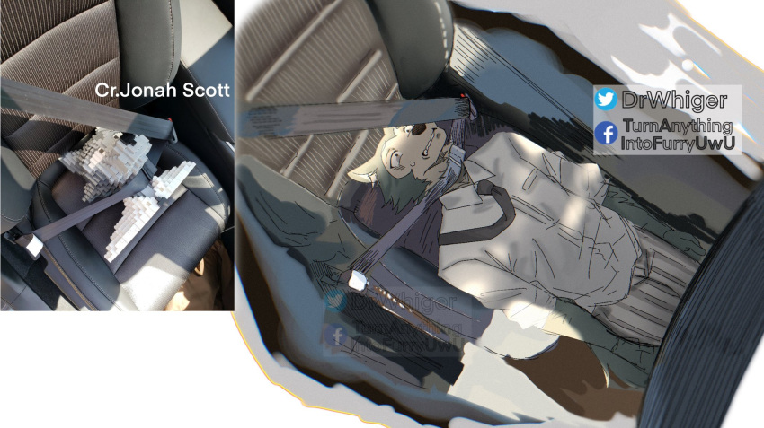 beastars bodily_fluids canid canine canis clothed clothing dr.whiger english_text hi_res humor lego legoshi_(beastars) male mammal necktie parody real seat seatbelt solo sweat text watermark wolf