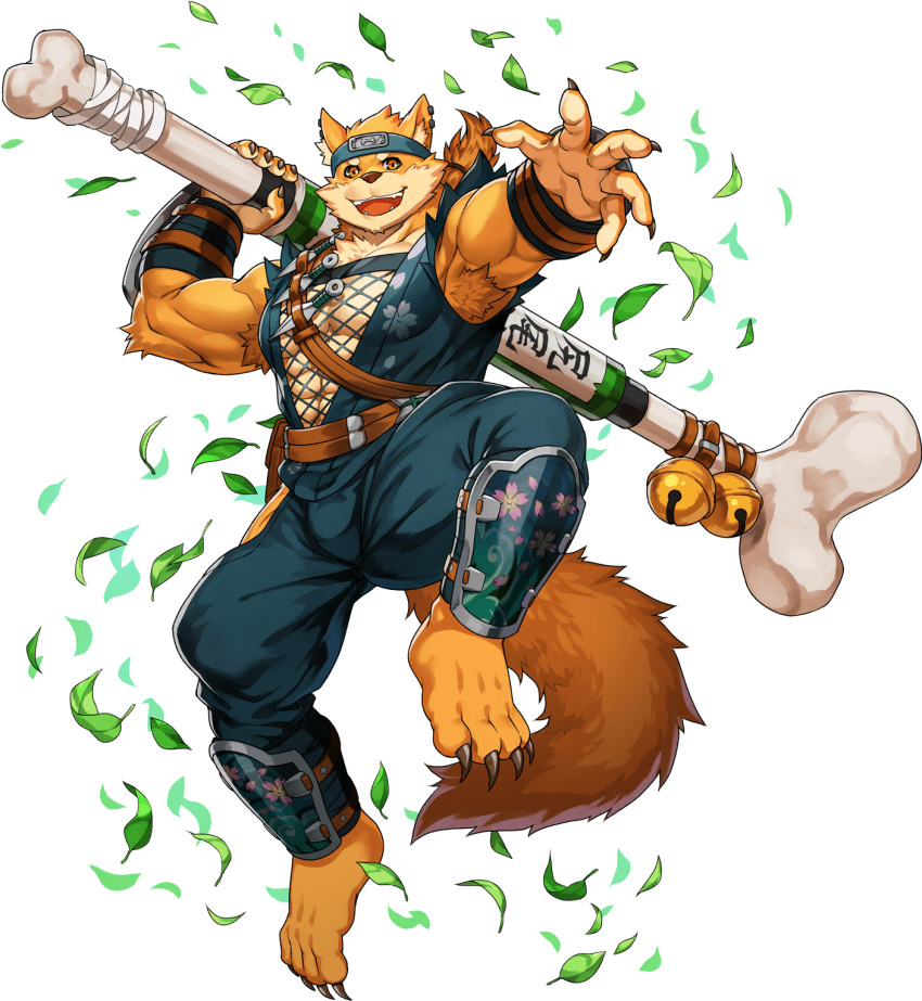 1boy abs animal_ears armpit_hair bara bare_pecs beige_fur bone bulge chang_(gyee) denim dog_boy dog_ears fishnet_top forehead_protector full_body furry gyee highres huge_weapon jeans jumping kunai large_pectorals male_cleavage male_focus muscular muscular_male navel_hair ninja official_art orange_eyes orange_fur over_shoulder pants ryuuichirou_(haineken) short_hair smile solo stomach two-tone_fur weapon weapon_over_shoulder