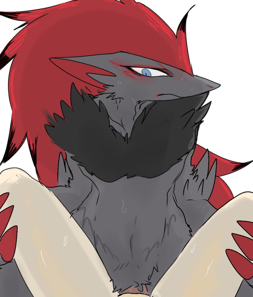 anthro anthro_penetrating anthro_penetrating_human blue_eyes blush claws duo erection faceless_female female female_on_anthro female_penetrated female_pov first_person_view front_view fur genitals grey_body grey_fur hi_res human human_on_anthro human_penetrated interspecies looking_at_viewer lying male male/female male_focus male_on_human male_penetrating male_penetrating_female mammal meisaikawaii missionary_position nintendo on_back penetration penile penile_penetration penis pok&eacute;mon pok&eacute;mon_(species) pok&eacute;philia pussy receiving_pov red_claws sex simple_background solo_focus spread_legs spreading submissive submissive_pov vaginal vaginal_penetration video_games white_background zoroark