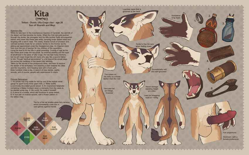 16:10 2021 5_fingers 5_toes animal_genitalia anthro balls digital_media_(artwork) english_text feet felid fingers genitals hi_res male mammal model_sheet sheath snowskau solo standing tetton text toes widescreen