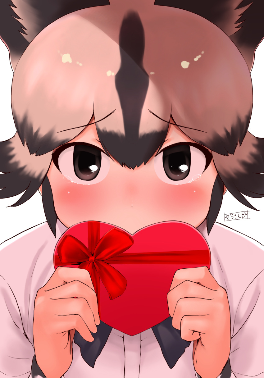 1girl african_wild_dog_(kemono_friends) animal_ears black_eyes black_hair blush commentary_request covered_mouth dog_ears extra_ears furrowed_eyebrows gift grey_hair hands_up highres holding holding_gift kemono_friends long_sleeves looking_at_viewer masuyama_ryou multicolored_hair shirt short_hair sidelocks solo tearing_up two-tone_hair upper_body valentine