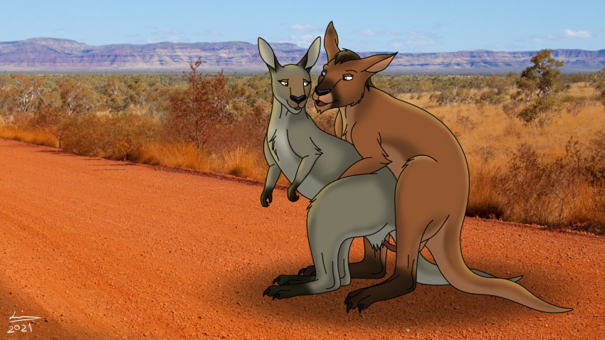 16:9 2021 animal_genitalia animal_penis detailed_background duo female female_penetrated feral feral_on_feral feral_penetrated feral_penetrating feral_penetrating_feral genitals kangaroo macropod male male/female male_penetrating male_penetrating_female mammal marsupial marsupial_penis outside penetration penis photo_background reinderworld sex signature widescreen