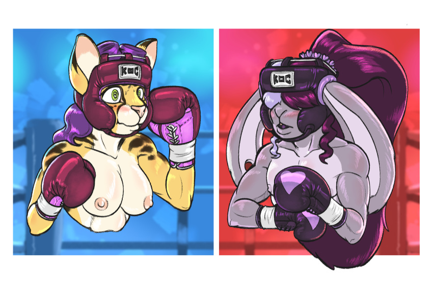 anthro areola boxing boxing_gloves breasts clothed clothing dcheese domestic_cat duo felid feline felis female fighting_ring girly hair handwear headgear hi_res koc lagomorph leporid male male/female mammal mixed_breed mouthguard muscular muscular_male nipples rabbit savannah_cat simple_background sport topless