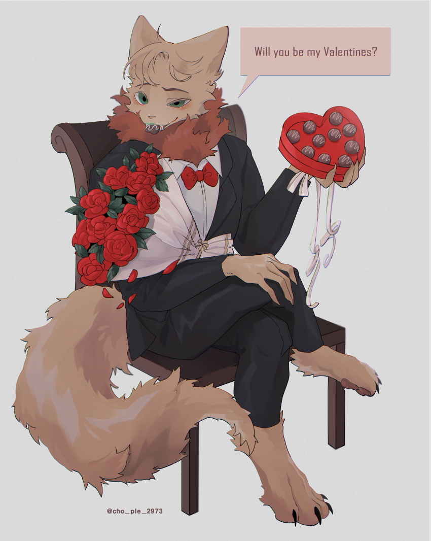absurd_res anthro biped bouquet_of_flowers bouquet_of_roses box_of_chocolates candy chocolate chople clothed clothing dessert fan_character flower fluffy food fully_clothed hi_res holidays league_of_legends male mammal neck_tuft plant riot_games rose_(flower) solo teemo_the_yiffer tuft valentine's_day video_games yordle