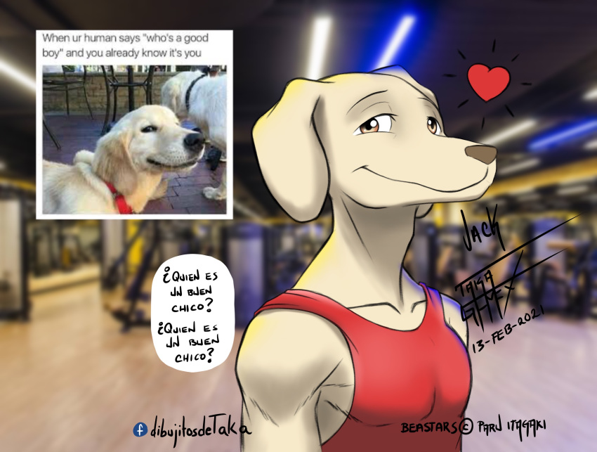 &lt;3 2021 anthro beastars bird_dog blurred_background brown_nose canid canine canis clothed clothing dialogue digital_media_(artwork) domestic_dog english_text floppy_ears fur happy hi_res hunting_dog jack_(beastars) labrador looking_at_viewer male mammal photography_(artwork) red_clothing red_shirt red_tank_top red_topwear reference_image retriever shirt signature smile solo spanish_text speech_bubble taka_studio tan_body tan_fur tank_top text topwear translated