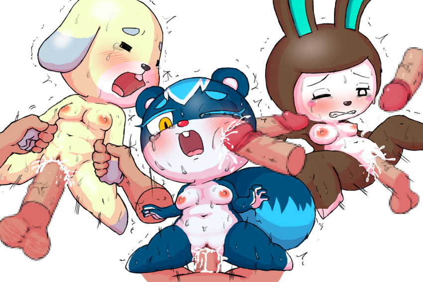 2020 3:2 4_fingers 5_fingers animal_crossing anthro balls black_nose blue_body blue_fur blush bodily_fluids bodily_fluids_in_pussy breasts brown_body brown_fur canid canine canis carmen_(animal_crossing) censored clenched_teeth cowgirl_position crying cum cum_inside cum_on_breasts cum_on_face cumshot daisy_(animal_crossing) davirook disembodied_penis domestic_dog ejaculation female fingers fur genital_fluids genitals group group_sex half-closed_eyes hand_on_wrist hi_res human lagomorph leporid lying male male/female mammal narrowed_eyes nintendo nude on_back on_bottom on_top one_eye_closed open_mouth penetration penile penile_penetration penis penis_in_pussy penis_on_cheek pressing_against_cheek pussy questionable_consent rabbit restrained rodent sciurid sex simple_background small_breasts squirrel_tail sweat tasha_(animal_crossing) tears teeth threesome tongue vaginal vaginal_penetration video_games white_body white_fur