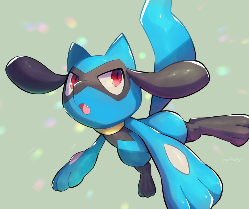 commentary fang gen_4_pokemon grey_background highres looking_up nullma open_mouth paws pokemon pokemon_(creature) red_eyes riolu solo toes tongue