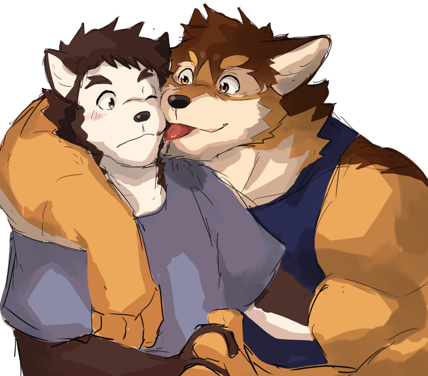 absurd_res anthro barrel_(live-a-hero) bbrt534 blush brown_body brown_fur canid canine canis dog_operator domestic_dog duo fur hand_holding hi_res licking live-a-hero male male/male mammal multicolored_body multicolored_fur muscular muscular_anthro muscular_male protagonist_(live-a-hero) tongue tongue_out wolf