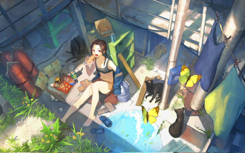 1girl animal bag bangs bare_shoulders barefoot black_sports_bra blue_jacket bread breasts brown_hair brown_shorts bug butterfly can cat clothesline cloud collarbone commentary_request day dolphin_shorts eating flower food from_above hand_up highres holding holding_food imoni_(gggzooo) jacket jacket_partially_removed knee_up laundry long_hair looking_at_viewer looking_up navel open_mouth original parted_bangs puddle red_eyes reflection scenery short_shorts shorts sitting slippers slippers_removed small_breasts solo sports_bra sunlight water wide_shot yellow_flower