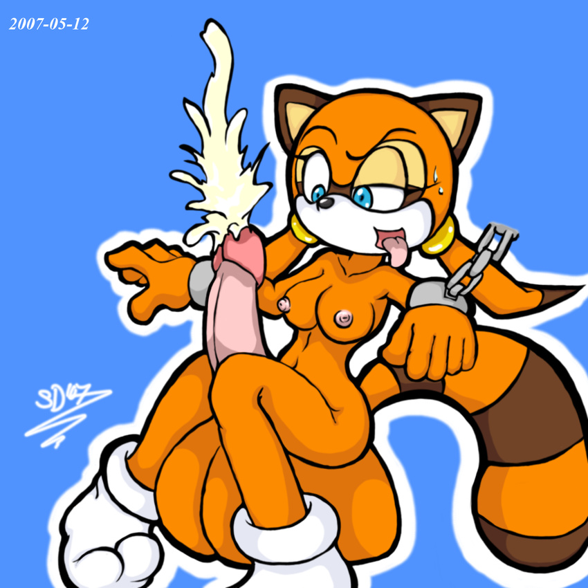 marine_the_raccoon sega sonic_team sonicdash tagme