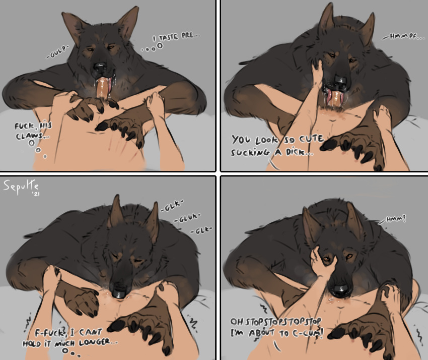 2021 5_fingers absurd_res anthro bodily_fluids brown_body brown_fur canid canine canis comic dialogue domestic_dog drooling duo ears_back edging english_text erection fellatio fingers first_person_view foreskin fur genitals german_shepherd hand_on_face herding_dog hi_res holding_penis human human_on_anthro human_penetrating humanoid_genitalia humanoid_penis interspecies licking looking_at_viewer male male/male mammal neck_tuft oral pastoral_dog penetration penile penis penis_lick pivoted_ears profanity pubes saliva sepulte sex signature simple_background teeth text tongue tongue_out tuft uncut