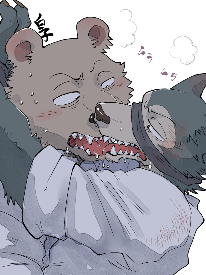 3:4 beastars blindfold blush bodily_fluids canid canine canis clothed clothing duo hi_res kissing legoshi_(beastars) male male/male mammal riz_(beastars) saliva shirako simple_background tongue tongue_out ursid wolf